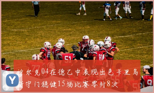 沙尔克04在德乙中表现出色卡里乌斯守门稳健15场比赛零封8次
