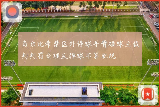 乌尔比希禁区外停球手臂碰球主裁判判罚合理反弹球不算犯规