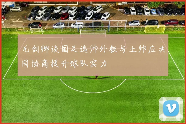 毛剑卿谈国足选帅外教与土帅应共同协商提升球队实力